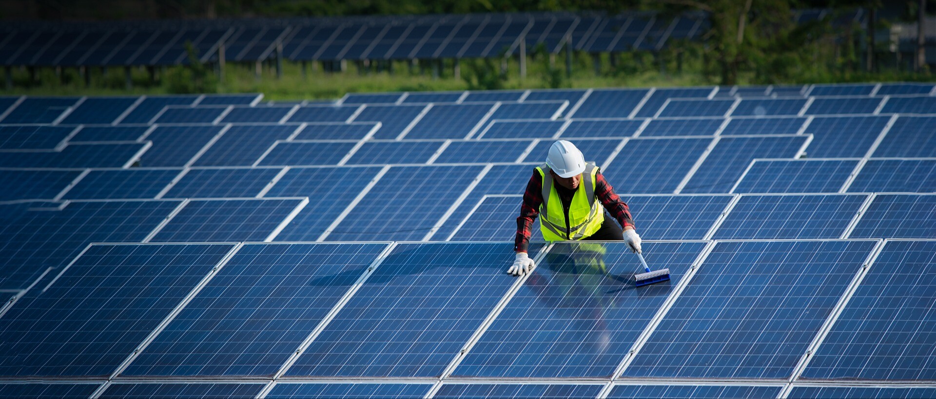 Líderes en Gestión Predial y Valoración